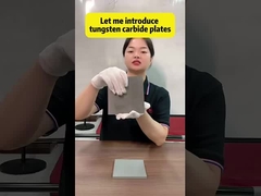 صفحه های مقاوم به فرسایش / بلوک ها / میله های کربید سیمان شده وولفستم برای ابزار برش